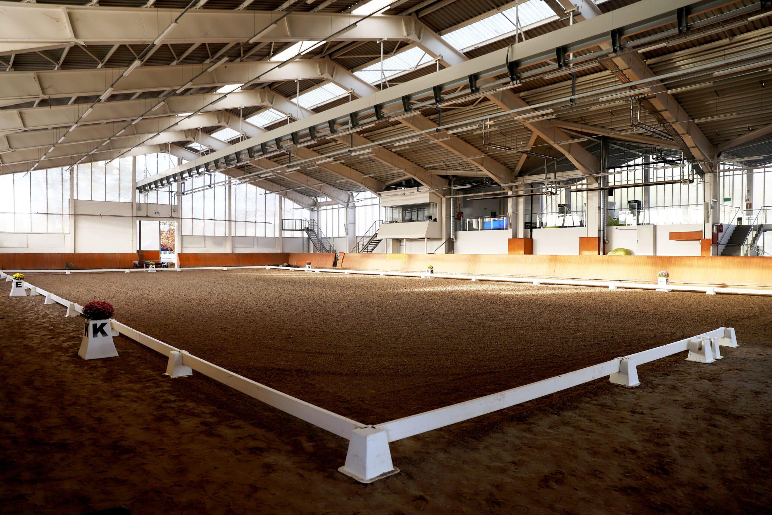 Indoor riding arena with maintained footing and organised training layout, reflecting the infrastructure standards relevant to Show Jumping Horses for sale
