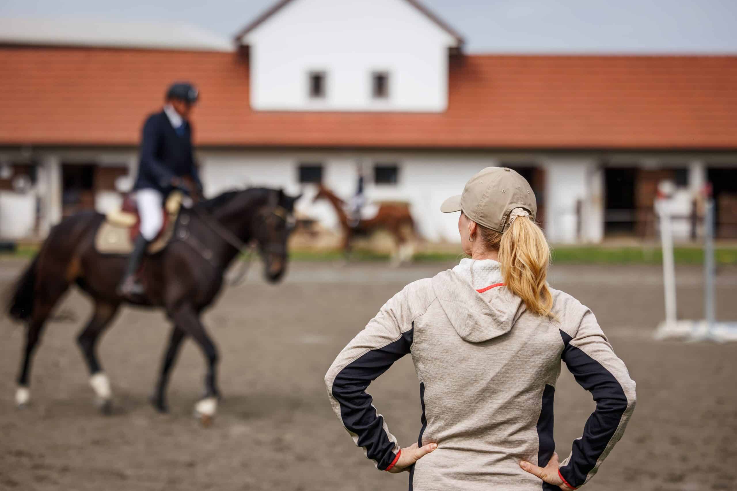 Trainer observing a rider during a training session, illustrating professional routines relevant to Show Jumping Horses for sale